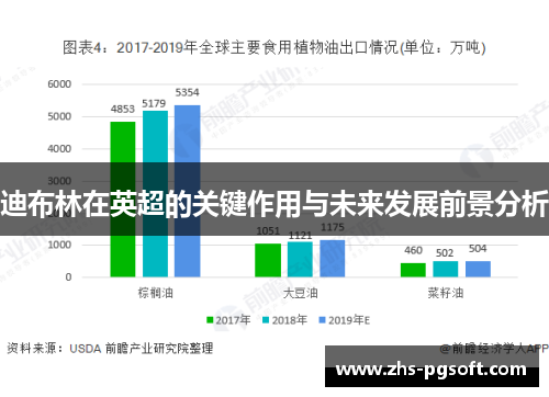 迪布林在英超的关键作用与未来发展前景分析