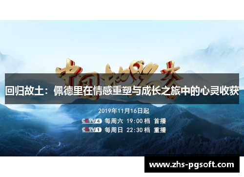 回归故土：佩德里在情感重塑与成长之旅中的心灵收获