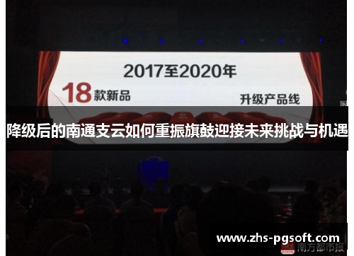 降级后的南通支云如何重振旗鼓迎接未来挑战与机遇