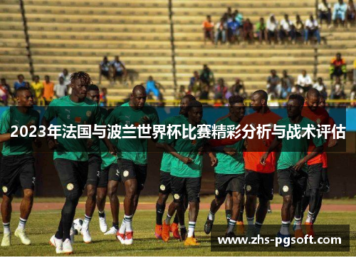 2023年法国与波兰世界杯比赛精彩分析与战术评估