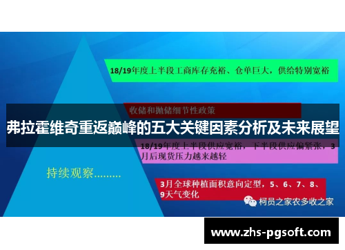 弗拉霍维奇重返巅峰的五大关键因素分析及未来展望