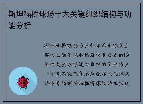 斯坦福桥球场十大关键组织结构与功能分析